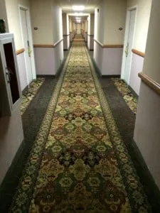 Above & Beyond Carpet Cleaning 2 Above & Beyond Carpet Cleaning