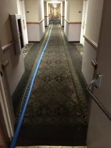 Above & Beyond Carpet Cleaning 1 Above & Beyond Carpet Cleaning