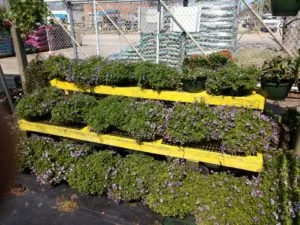 Burke Brothers Hardware 1 Burk Brothers Hardware