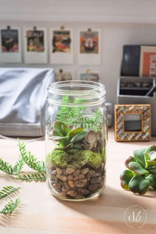 terrarium-mason-jar