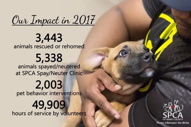 2017-impact-social-media-1