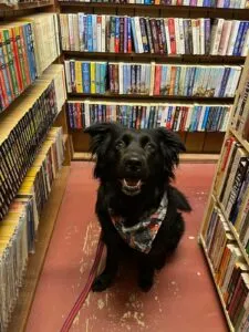 Reader's Corner