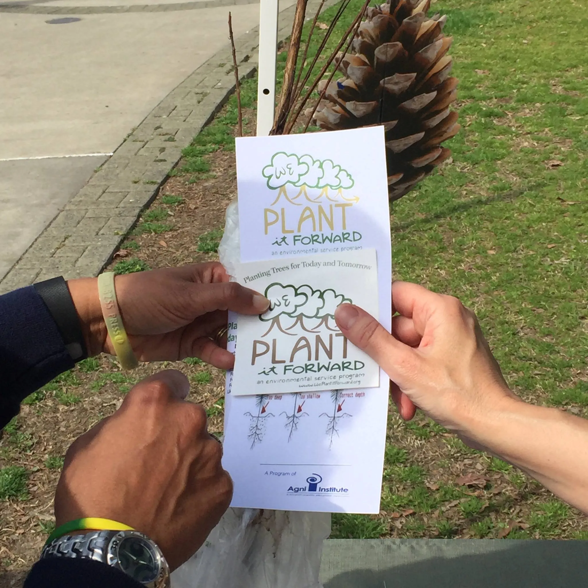 We Plant it Forward
