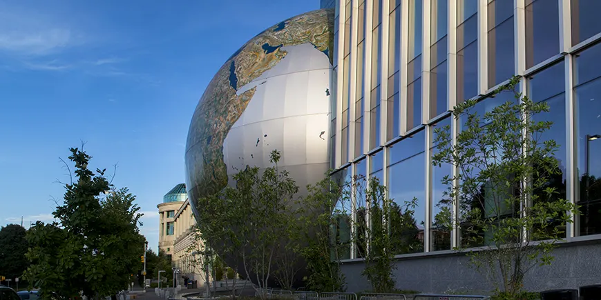 Local Ways to Beat The Summer Heat in Raleigh 41 Raleigh Museum of Natural Sciences