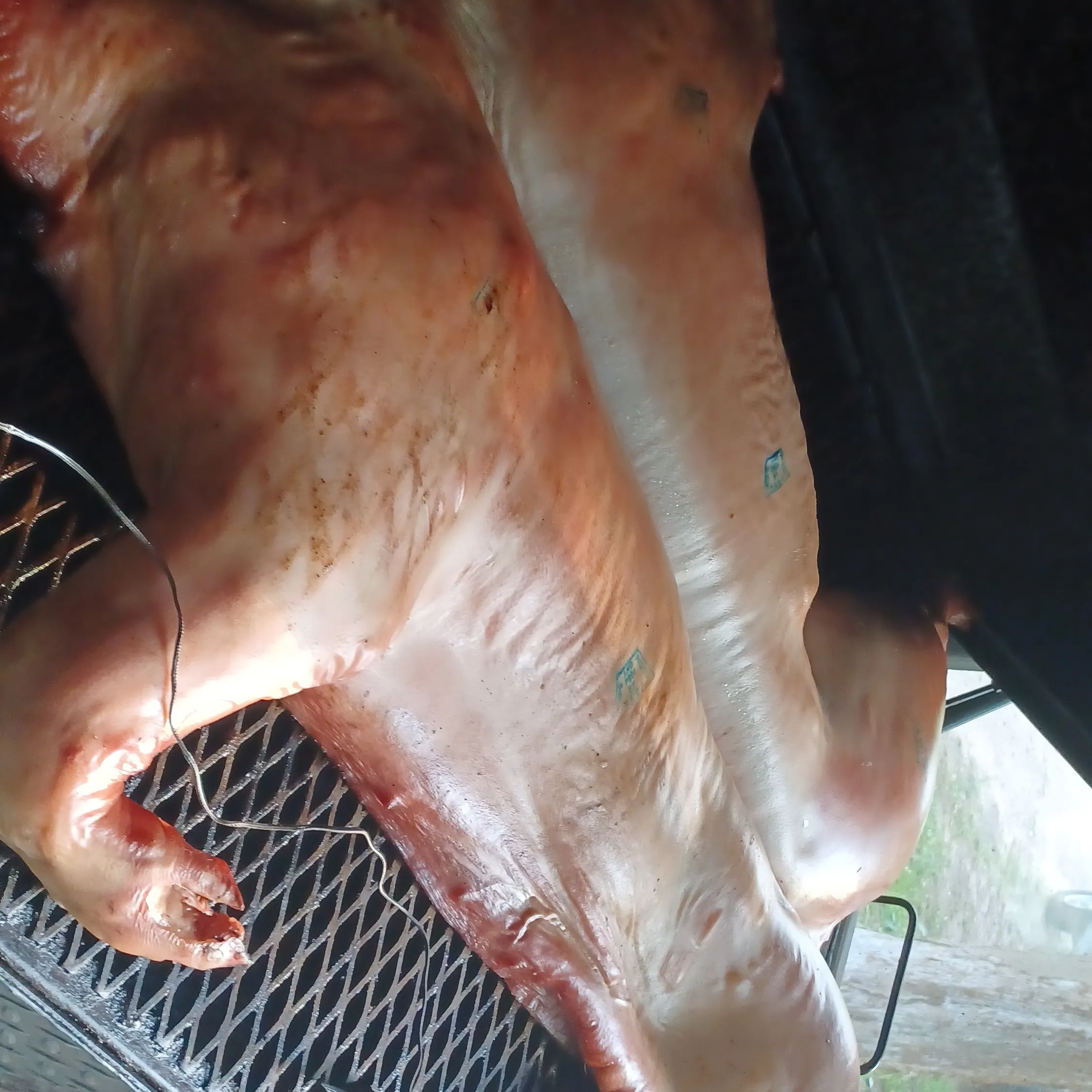 IMG 20220609 191545 345