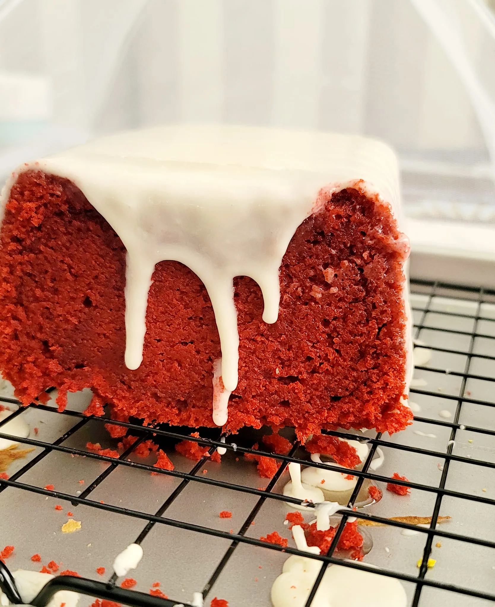 358723320 259228383520966 1920229750993024494 n