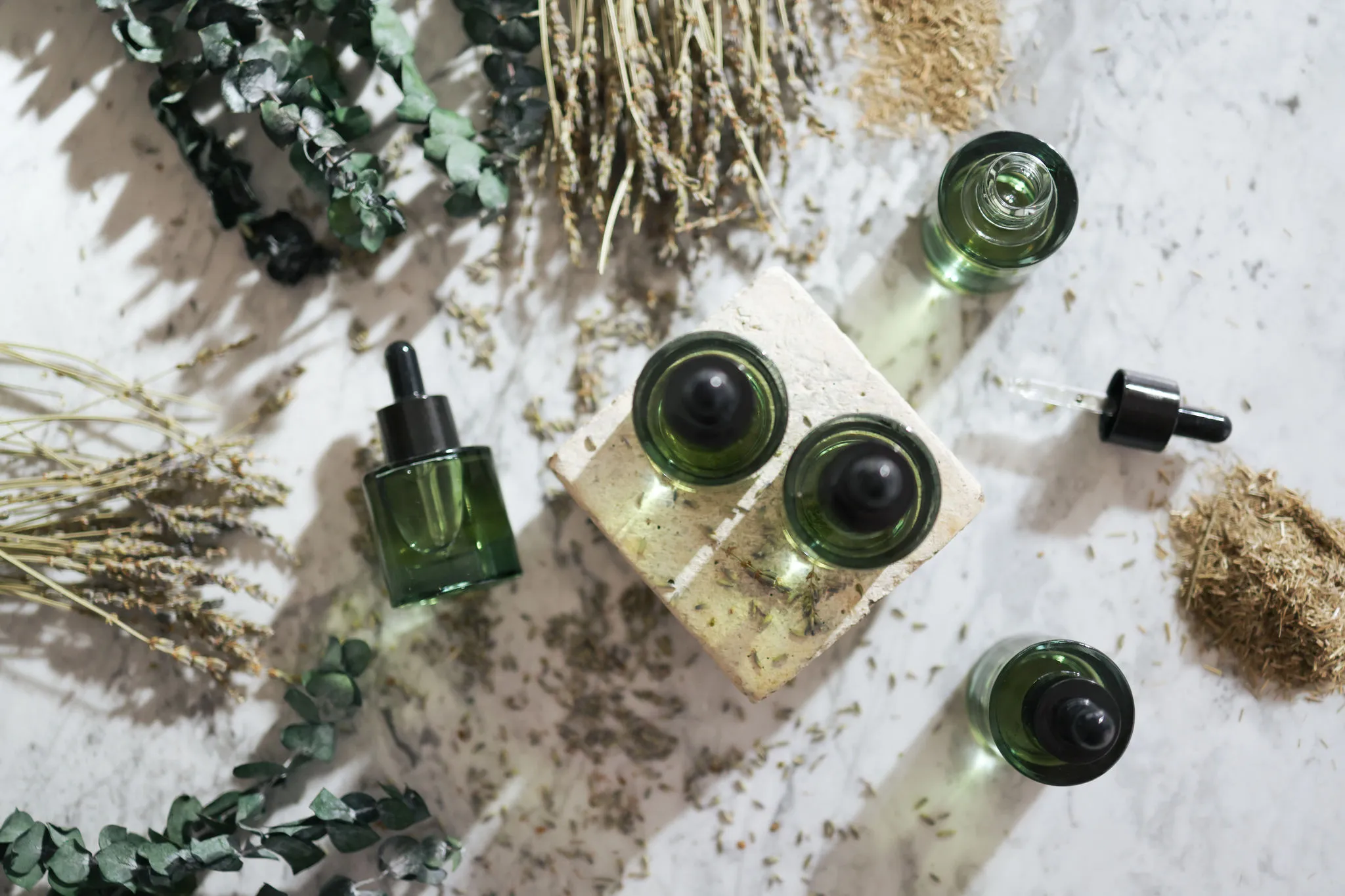 contone regener8 074 copy