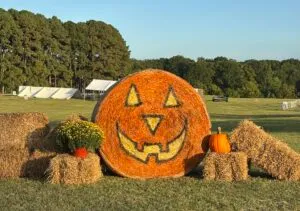 Pumpkin Hay Bale from Falling for Local in Raleigh