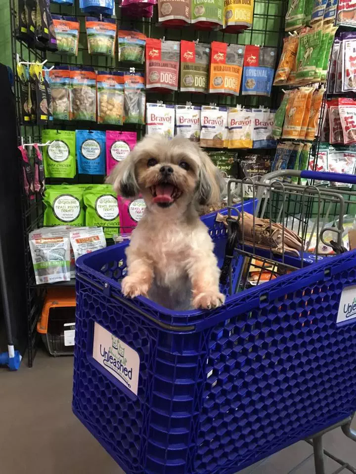 dog in shopping cart at unleashed