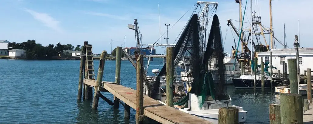 Locals Seafood Fresh Off The Boat