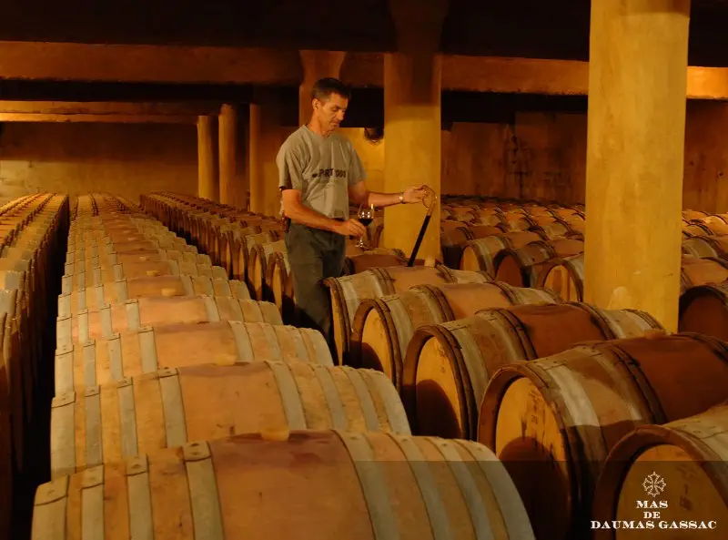 chais_masdedaumasgassac