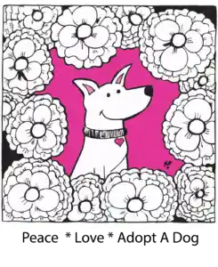 Member Spotlight - April's New & Renewed Members 133 Cleo