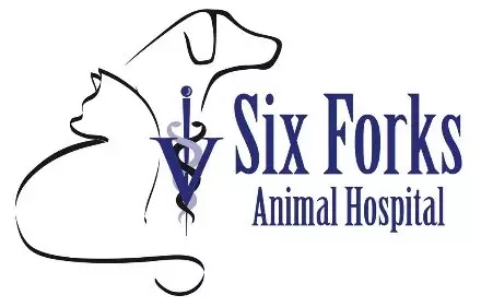34222 Six Forks Animal Hospital