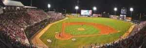 Member Spotlight - January's New and Renewed Members 37 Carolina Mudcats