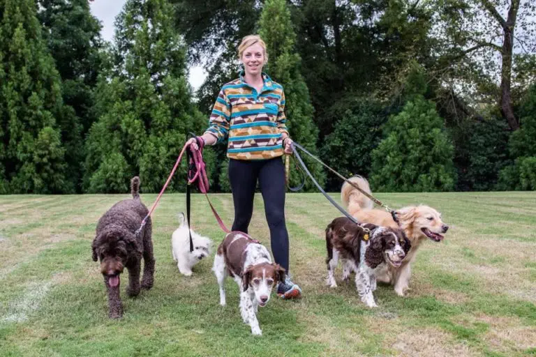 aMANdas Best Friend dog walker 768x512