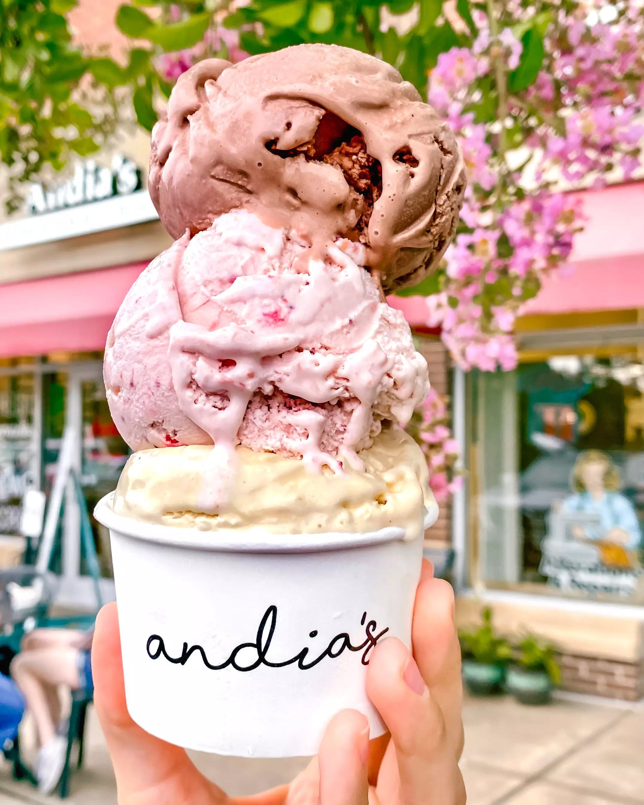 Andias Ice Cream vcs scoop