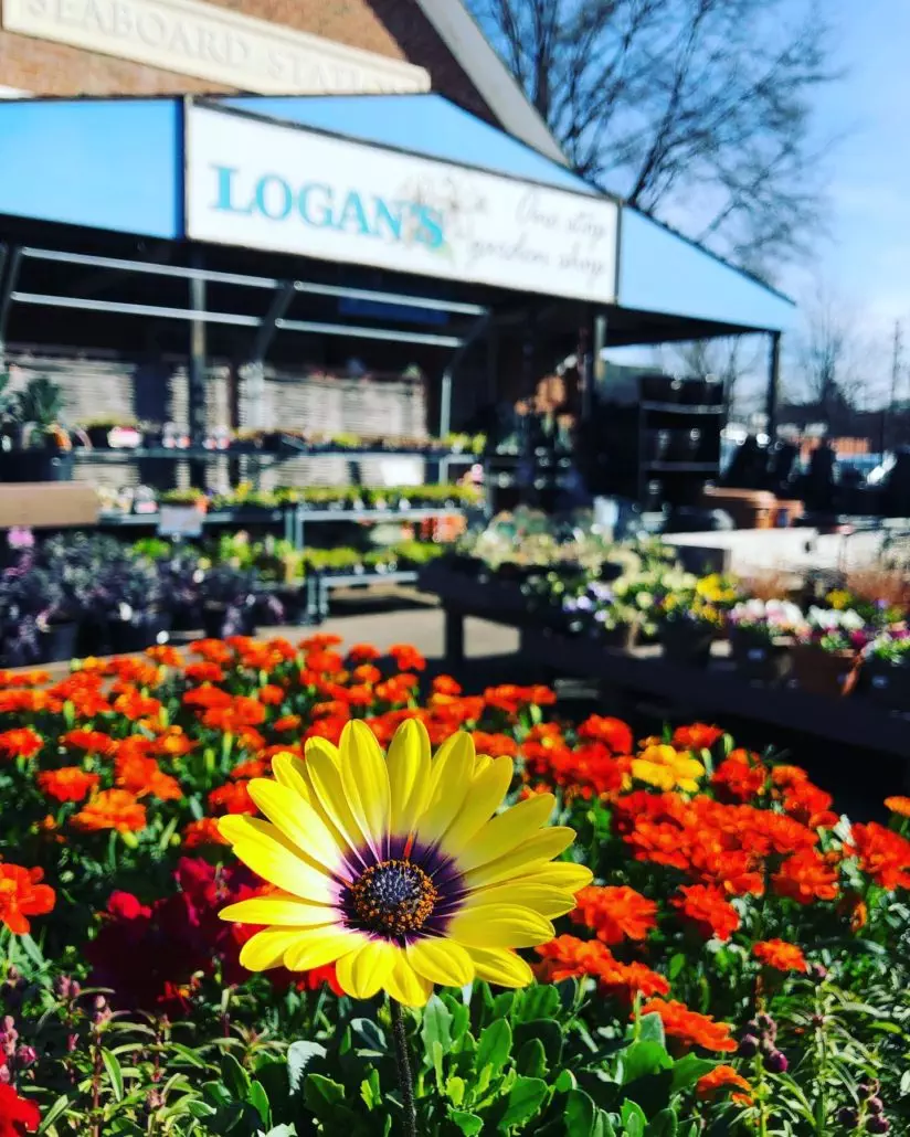 Logans Garden Shop