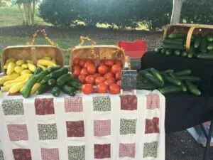Member Spotlight – July’s New & Renewed Members 33 71343991 1242452842601222 2196005856342966272 n