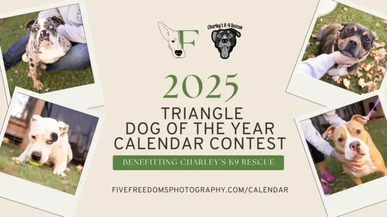 2025 Triangle Dog Of The Year 1 768x432