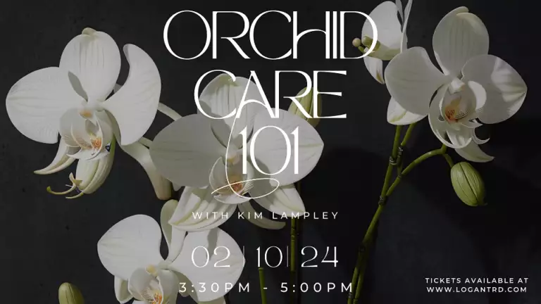 Orchid Care 101 EZ Ad 2024 1920 x 1080 px reduced 768x432