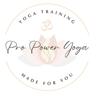 Pro Power Yoga Raleigh NC Yoga Teacher Training Logo 300x300