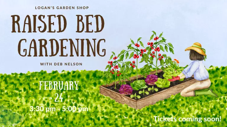 Raised Bed Gardening EZ Ad 1920 x 1080 px reduced 768x432