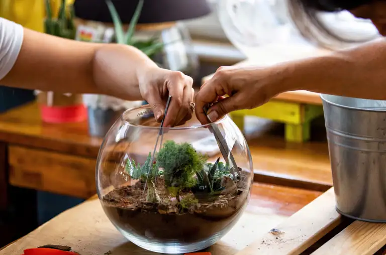 Terrarium Workshop Feb 3 2024 1 reduced 768x508