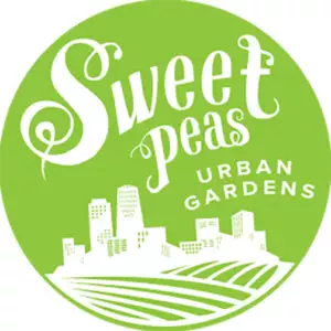 SweetPeasLogo 4inch 300x300