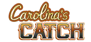 Logo 3 300x138