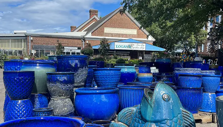 Logans Pots reduced cropped 1