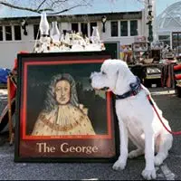 the george