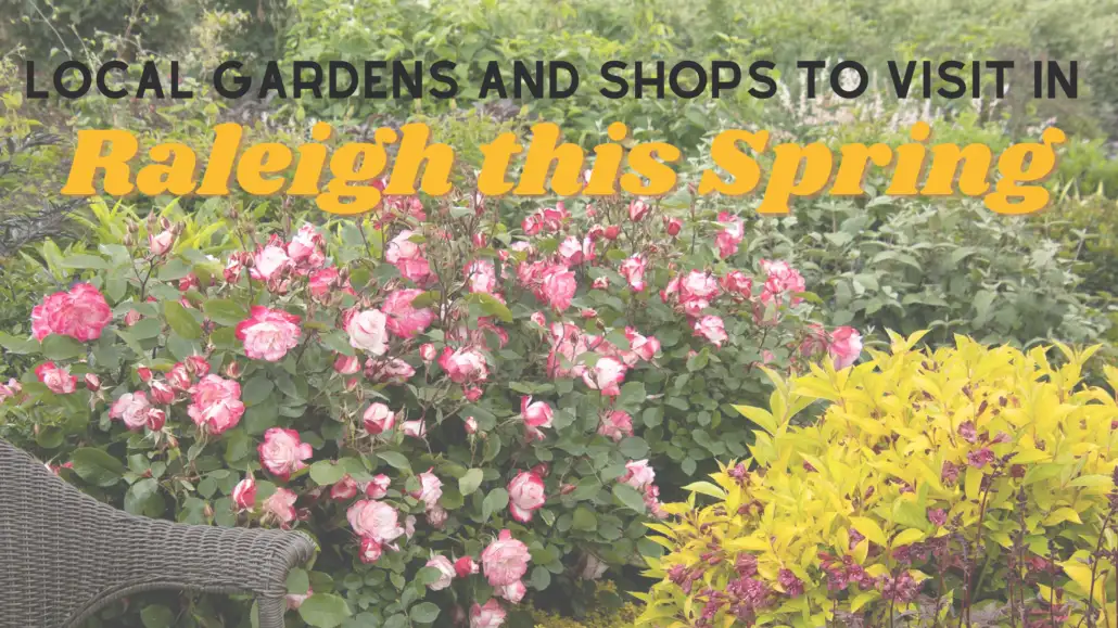 local gardens and shops