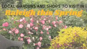 local gardens and shops