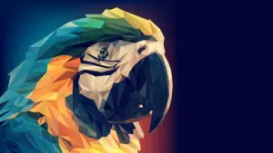 unnamed 300x169