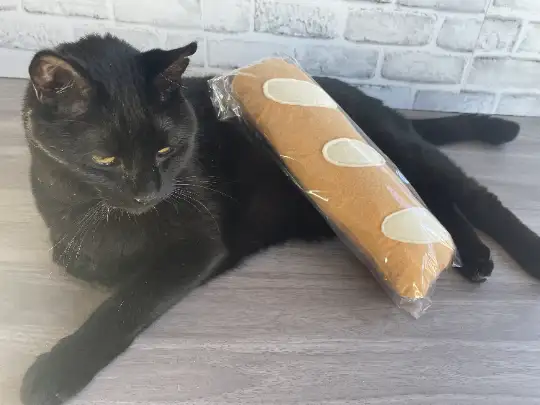 purrsnickitty draco