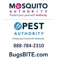 mosquito authority
