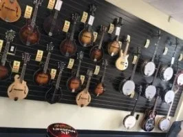 Harry guitar shop sale