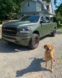Westgate Dodge Jeep Ram