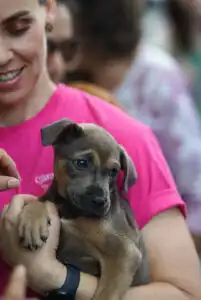 Saving Grace Animals for Adoption